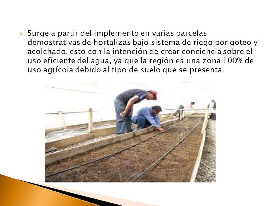 Surge a partir del implemento en varias parcelas demostrativas de hortalizas bajo sistema de riego por goteo y acolchado, esto con la intención de crear conciencia sobre el uso eficiente del agua, ya que la región es una zona 100% de uso agrícola debido al tipo de suelo que se presenta.