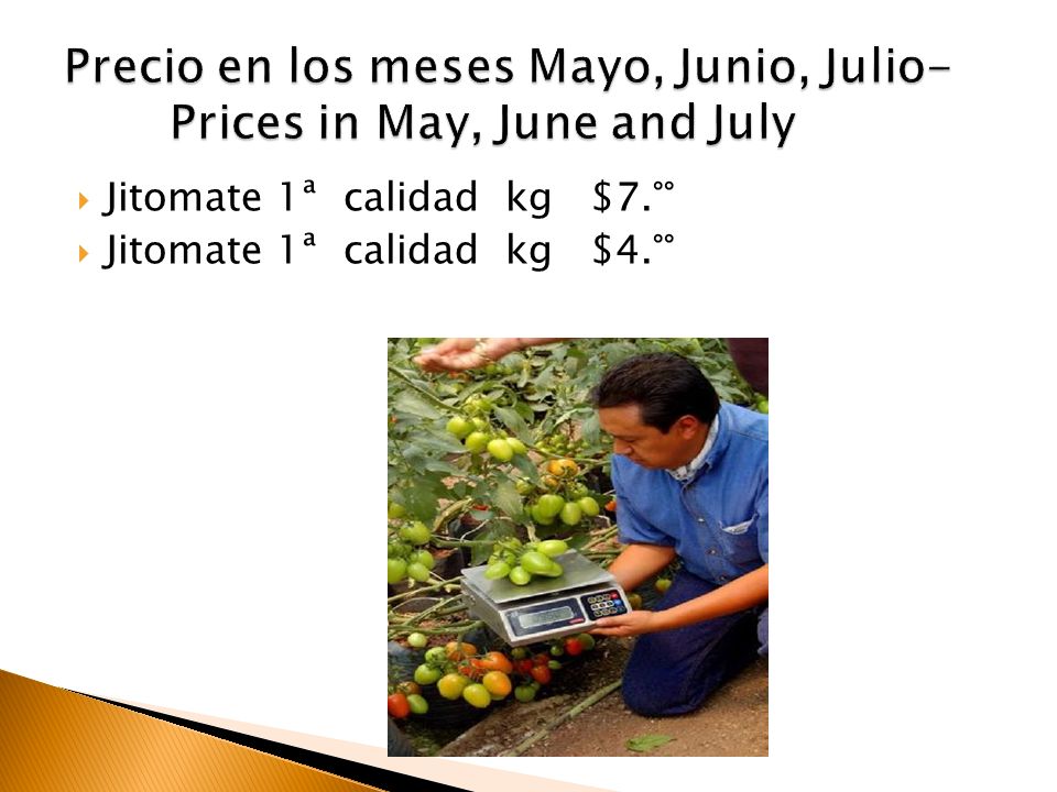 Precio en los meses Mayo, Junio, Julio- Prices in May, June and July