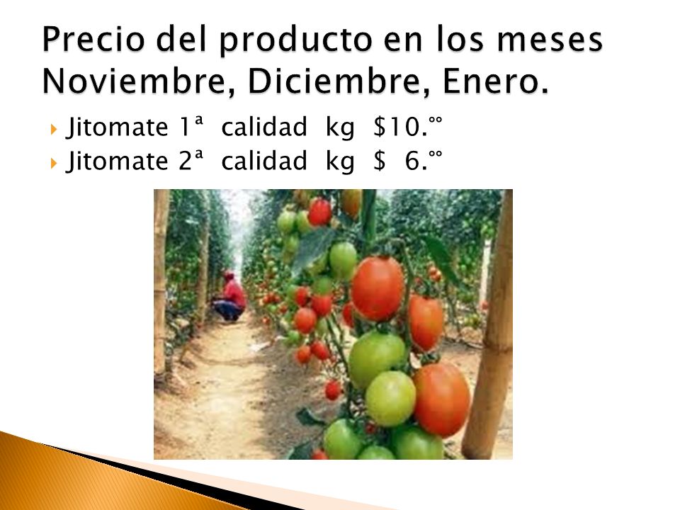 Precio del producto en los meses Noviembre, Diciembre, Enero.