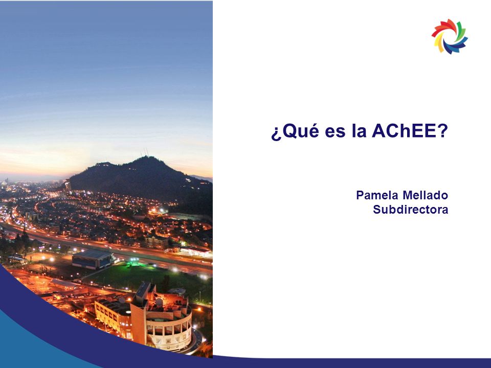¿Qué es la AChEE Pamela Mellado Subdirectora