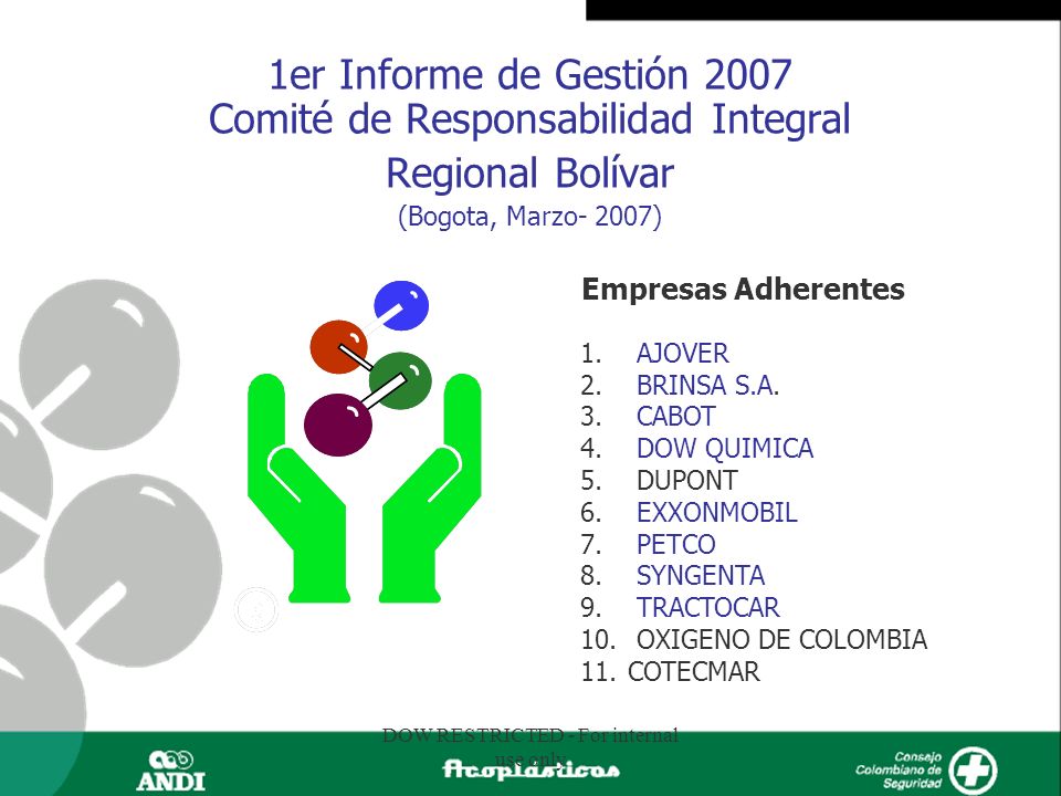 1er Informe de Gestión 2007 Comité de Responsabilidad Integral