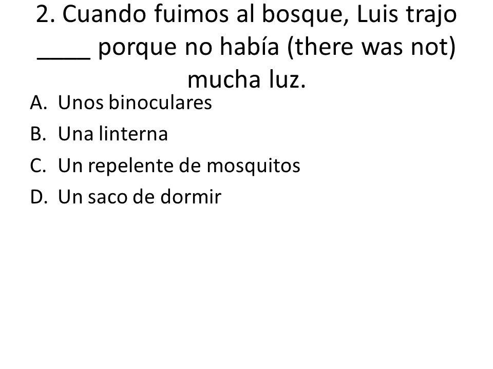 2. Cuando fuimos al bosque, Luis trajo ____ porque no había (there was not) mucha luz.