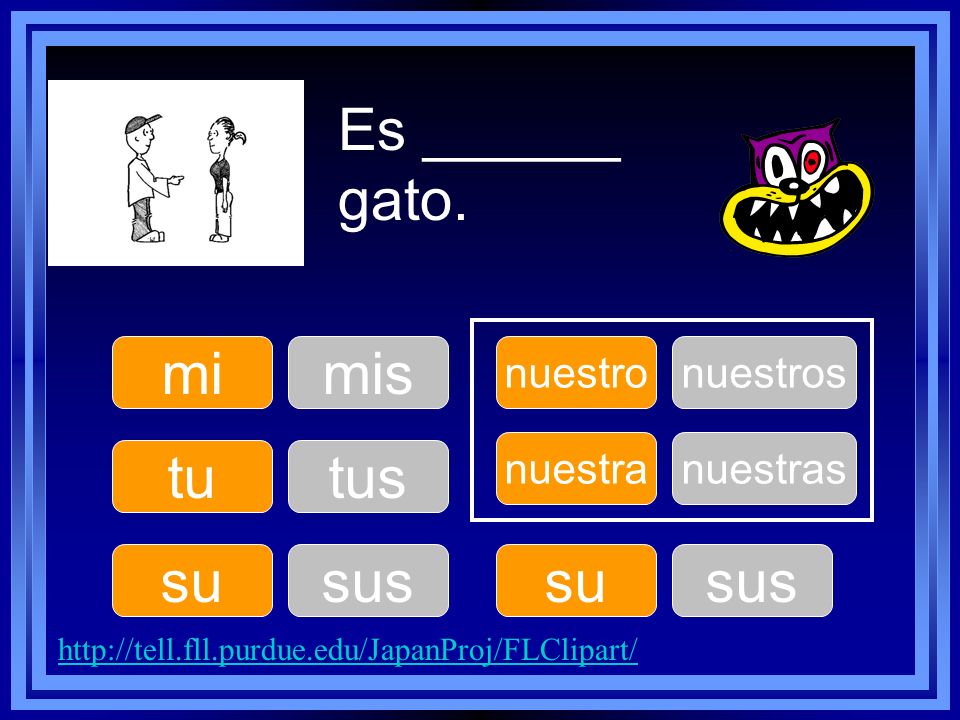 Es ______ gato. mi mis tu tus su sus su sus nuestro nuestros nuestra