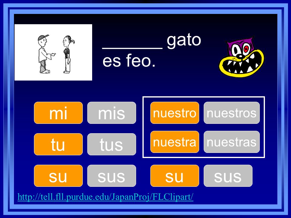 ______ gato es feo. mi mis tu tus su sus su sus nuestro nuestros