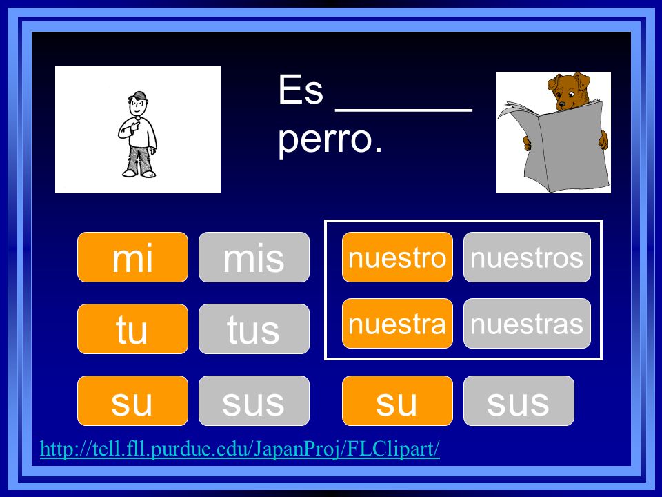 Es ______ perro. mi mis tu tus su sus su sus nuestro nuestros nuestra