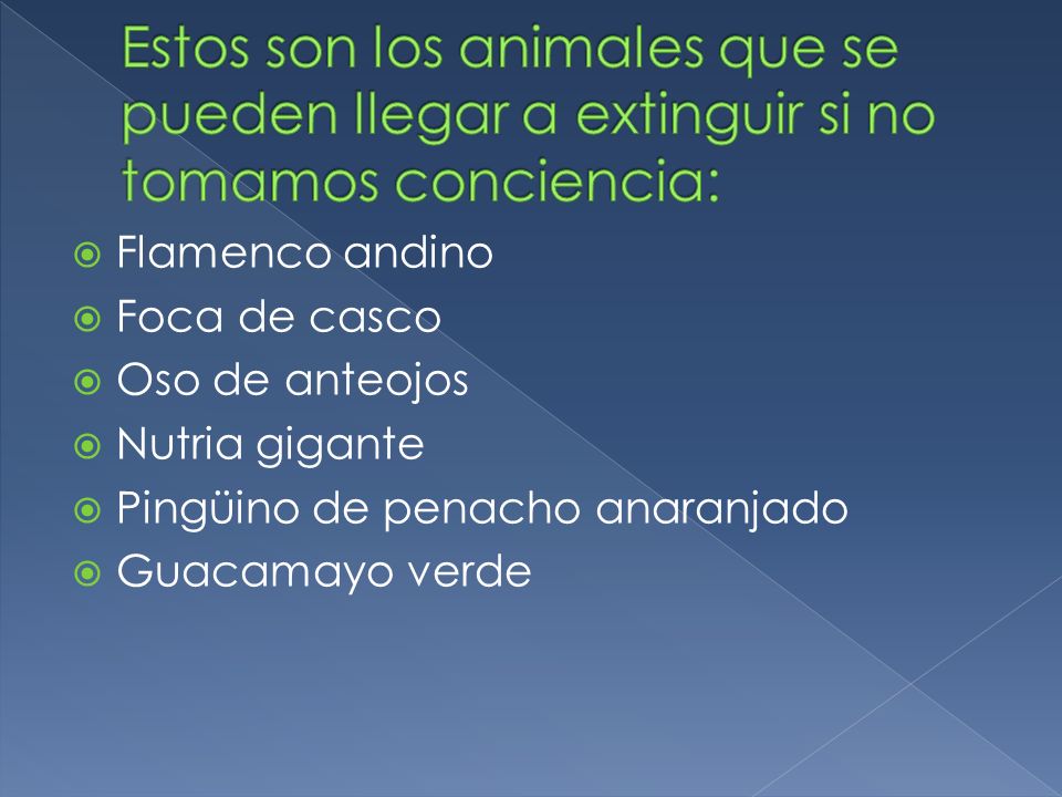 Estos son los animales que se pueden llegar a extinguir si no tomamos conciencia: