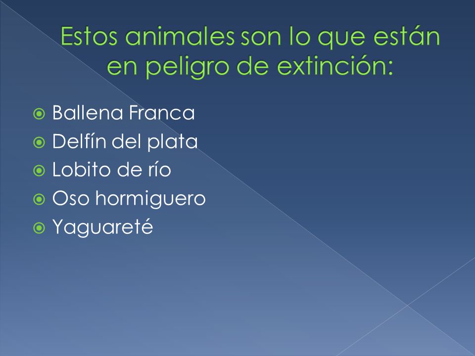 Estos animales son lo que están en peligro de extinción: