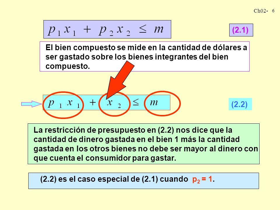 (2.1) El bien compuesto se mide en la cantidad de dólares a ser gastado sobre los bienes integrantes del bien compuesto.