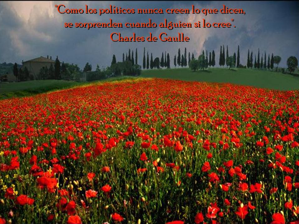 Como los políticos nunca creen lo que dicen, se sorprenden cuando alguien si lo cree .