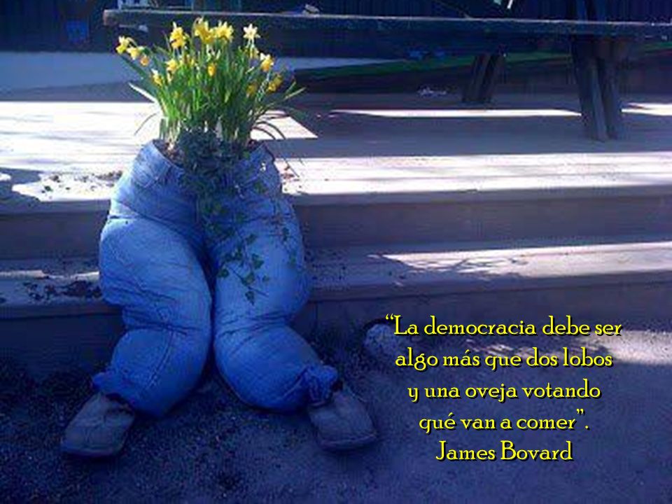La democracia debe ser algo más que dos lobos y una oveja votando qué van a comer .