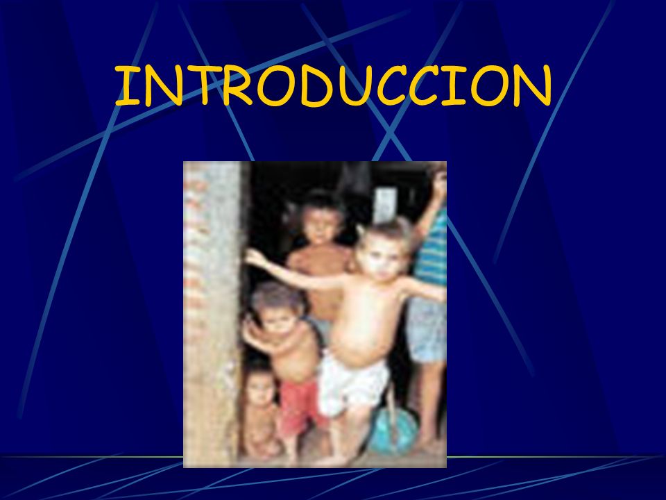 INTRODUCCION