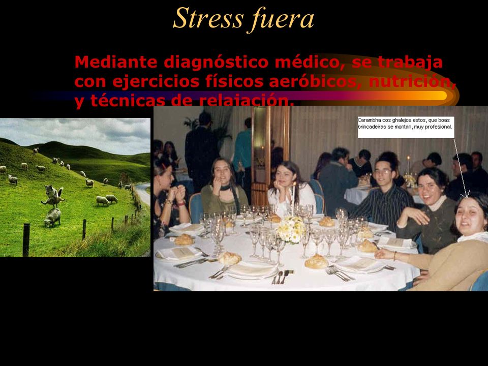 Stress fuera Mediante diagnóstico médico, se trabaja con ejercicios físicos aeróbicos, nutrición, y técnicas de relajación.