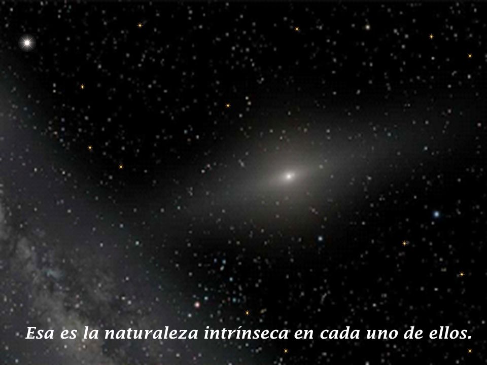 Esa es la naturaleza intrínseca en cada uno de ellos.