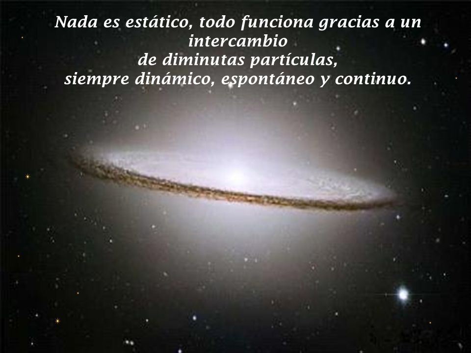 Nada es estático, todo funciona gracias a un intercambio de diminutas partículas, siempre dinámico, espontáneo y continuo.