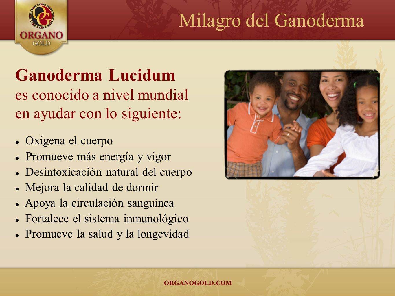 Milagro del Ganoderma Ganoderma Lucidum es conocido a nivel mundial