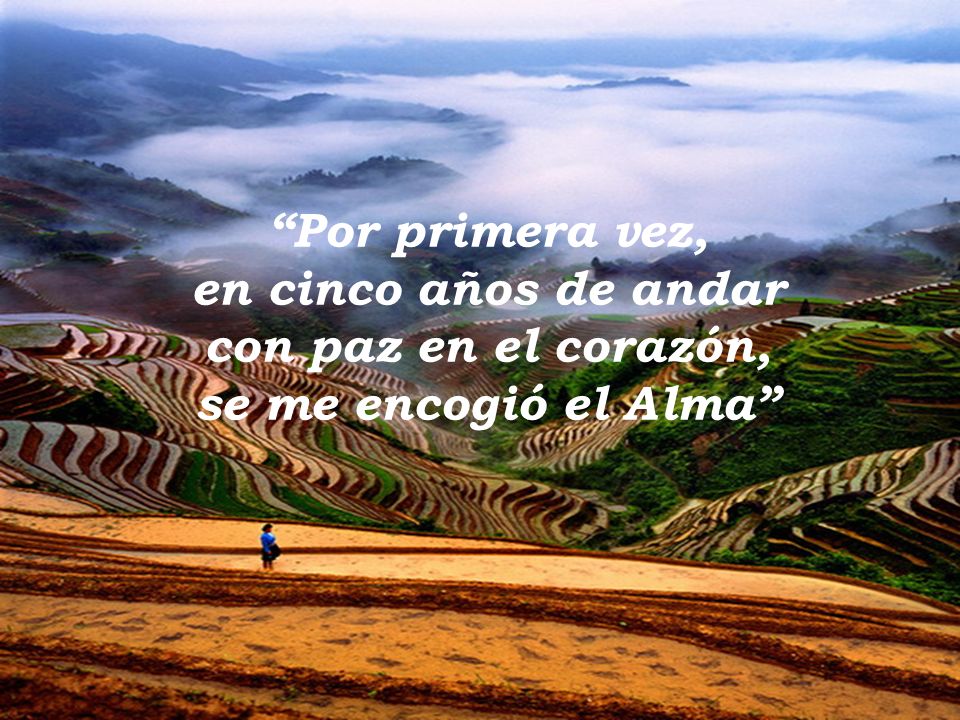 Por primera vez, en cinco años de andar con paz en el corazón, se me encogió el Alma
