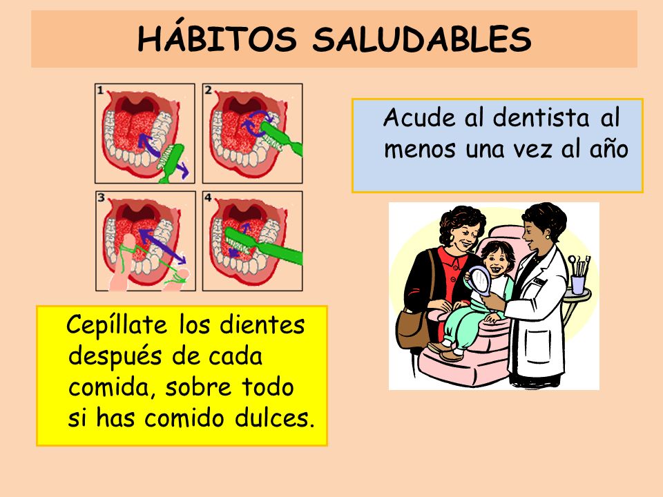 HÁBITOS SALUDABLES Acude al dentista al menos una vez al año