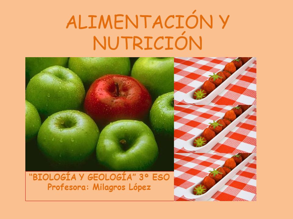 ALIMENTACIÓN Y NUTRICIÓN