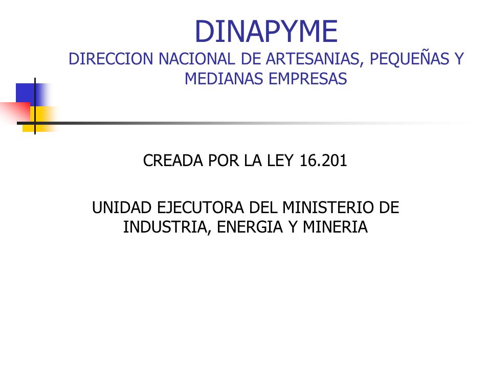 UNIDAD EJECUTORA DEL MINISTERIO DE INDUSTRIA, ENERGIA Y MINERIA