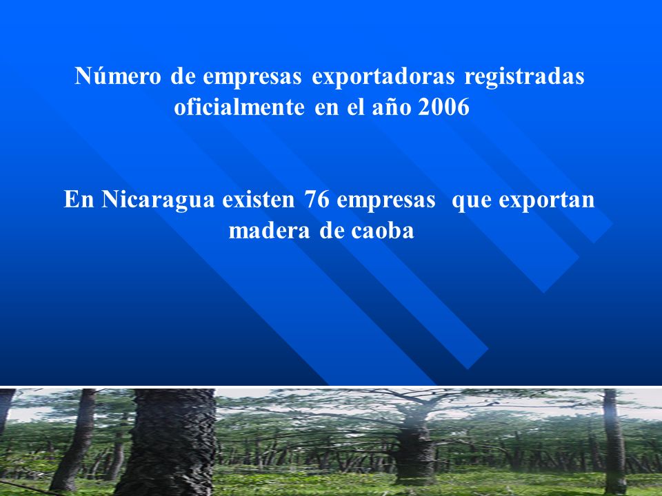 En Nicaragua existen 76 empresas que exportan madera de caoba