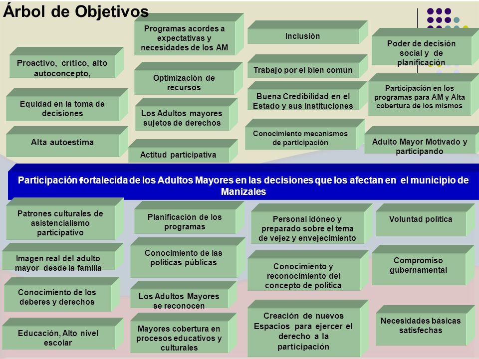 Árbol de Objetivos Programas acordes a expectativas y necesidades de los AM. Inclusión. Poder de decisión social y de planificación.