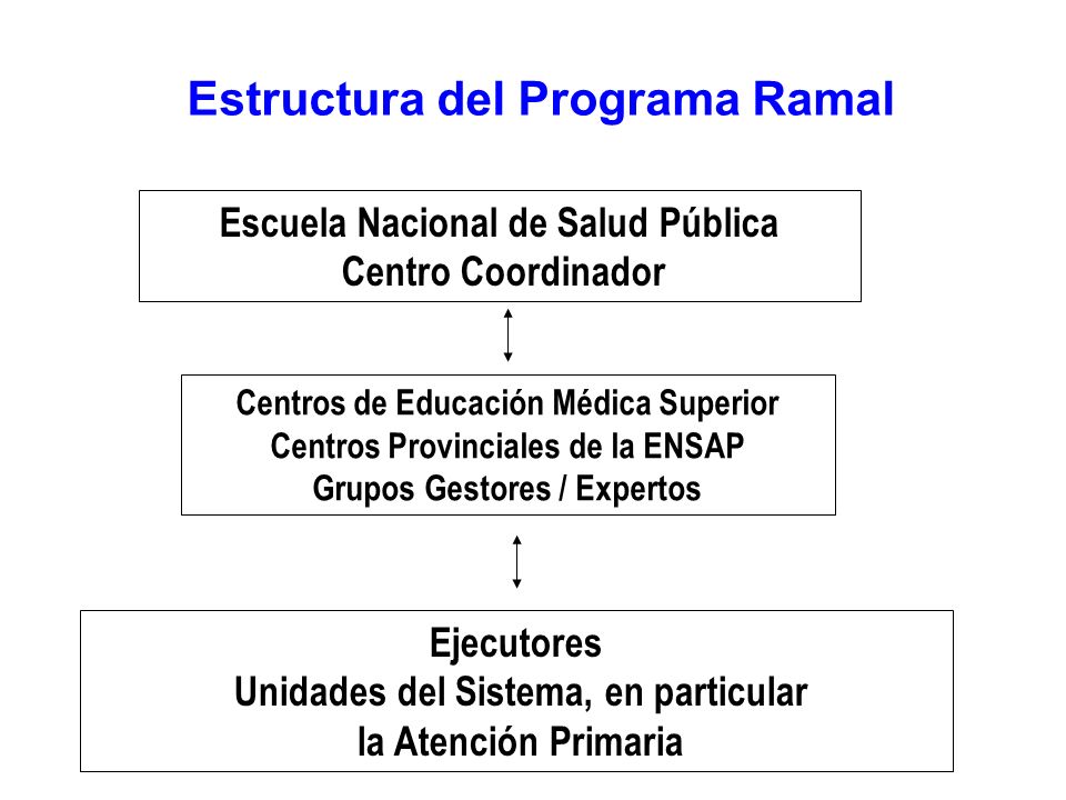 Estructura del Programa Ramal