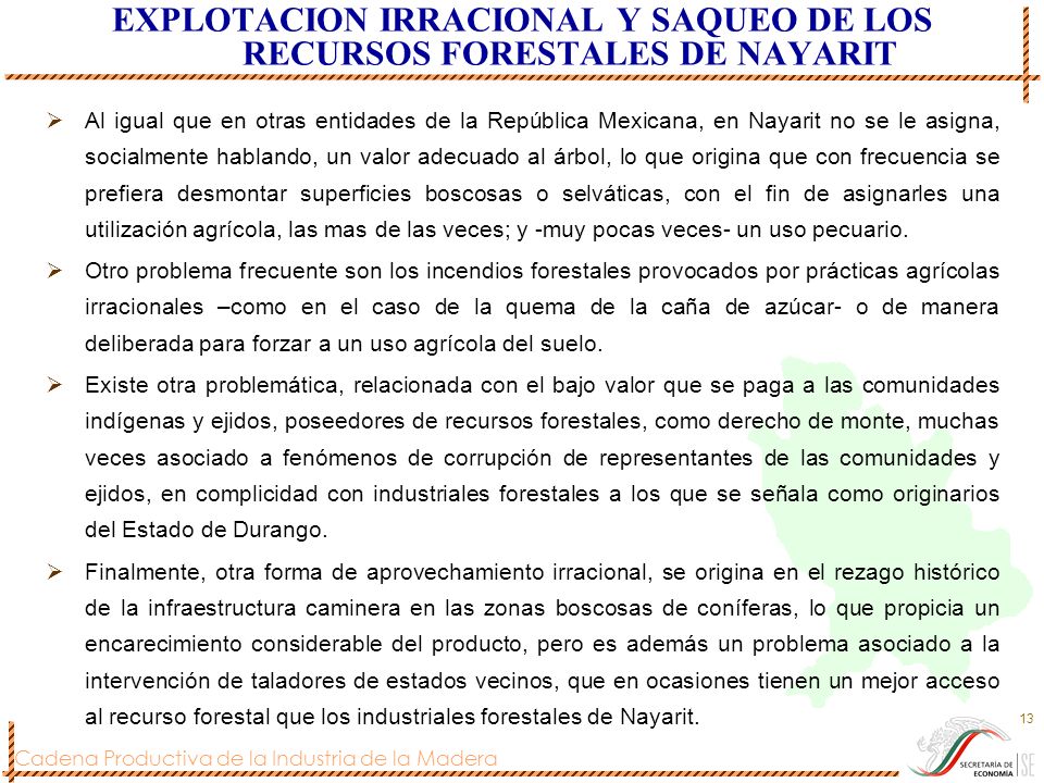 EXPLOTACION IRRACIONAL Y SAQUEO DE LOS RECURSOS FORESTALES DE NAYARIT