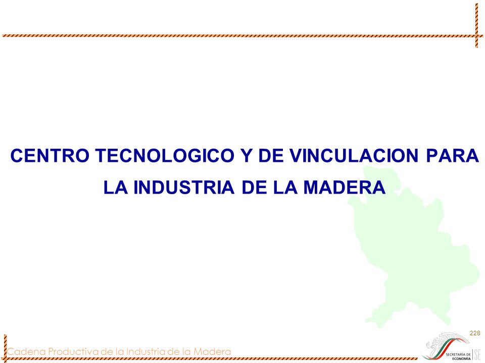 CENTRO TECNOLOGICO Y DE VINCULACION PARA LA INDUSTRIA DE LA MADERA