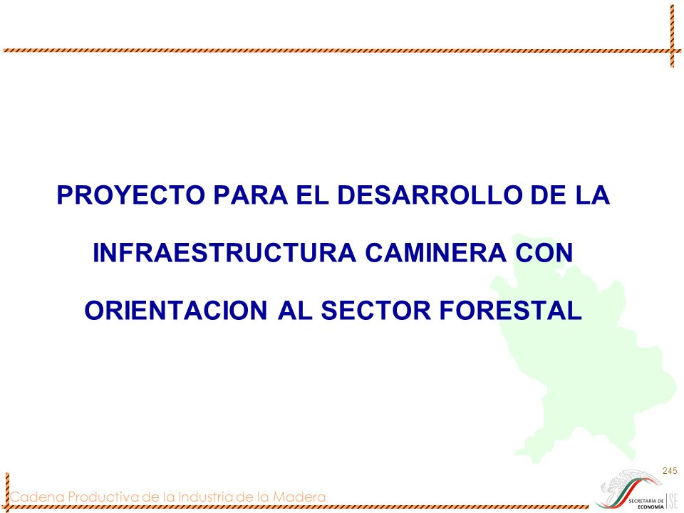 PROYECTO PARA EL DESARROLLO DE LA INFRAESTRUCTURA CAMINERA CON ORIENTACION AL SECTOR FORESTAL