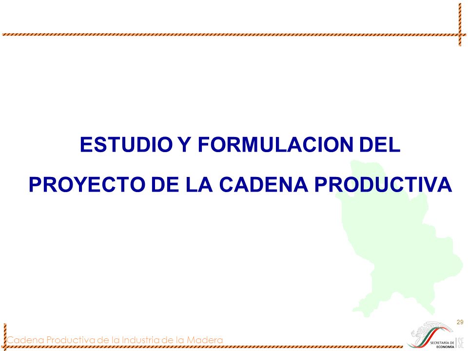 ESTUDIO Y FORMULACION DEL PROYECTO DE LA CADENA PRODUCTIVA