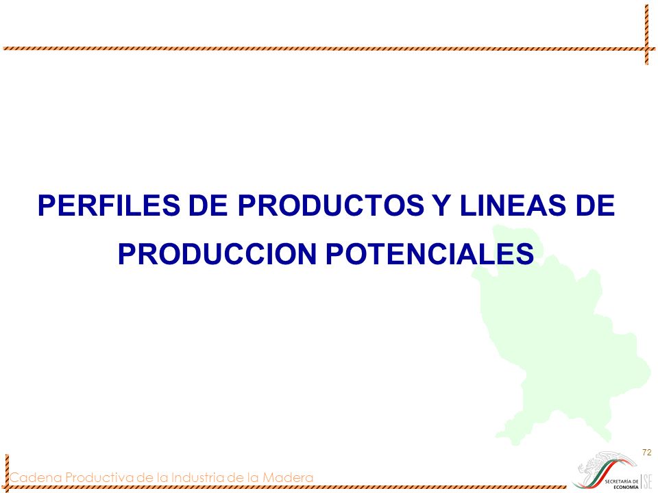 PERFILES DE PRODUCTOS Y LINEAS DE PRODUCCION POTENCIALES