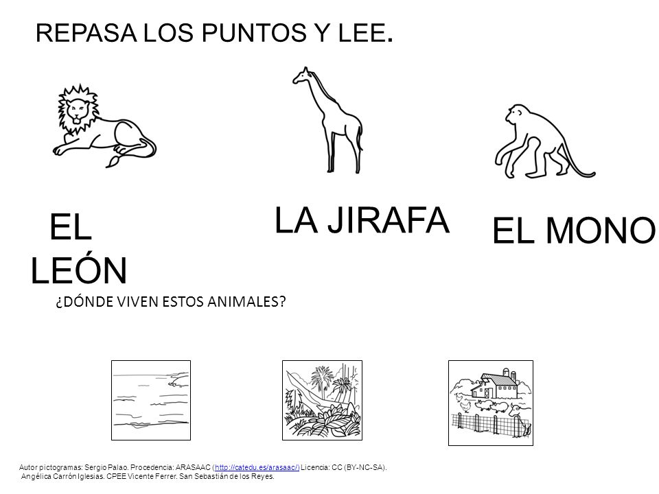 LA JIRAFA EL LEÓN REPASA LOS PUNTOS Y LEE. EL MONO