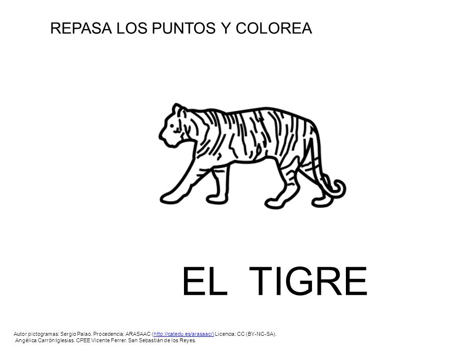 EL TIGRE REPASA LOS PUNTOS Y COLOREA