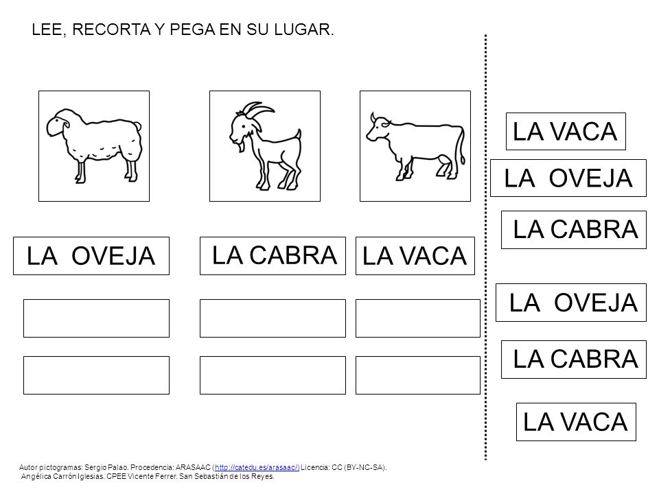 LA VACA LA OVEJA LA CABRA LA OVEJA LA CABRA LA VACA LA OVEJA LA CABRA