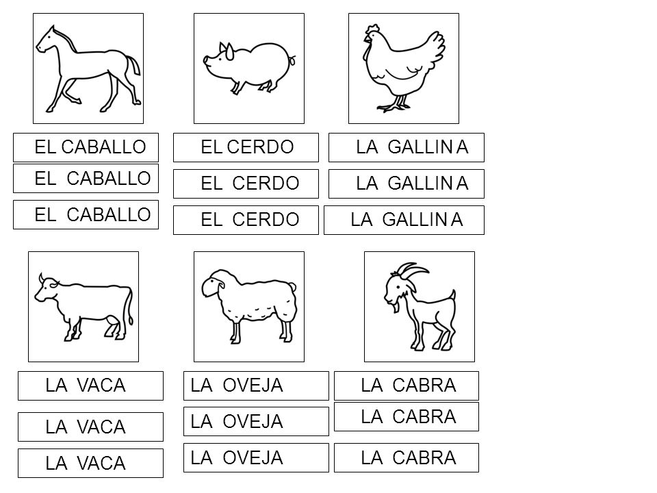 EL CABALLO EL CERDO. LA GALLIN A. EL CABALLO. EL CERDO. LA GALLIN A. EL CABALLO. EL CERDO.
