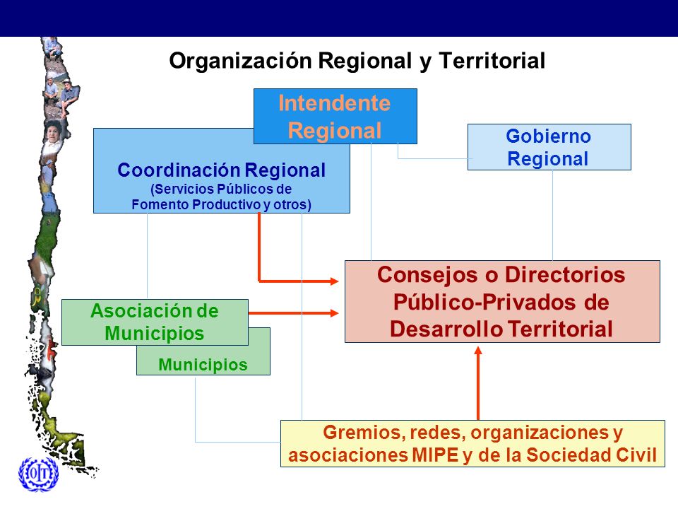Organización Regional y Territorial