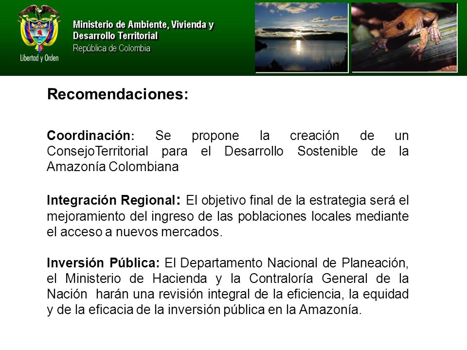 Recomendaciones: Coordinación: Se propone la creación de un ConsejoTerritorial para el Desarrollo Sostenible de la Amazonía Colombiana.
