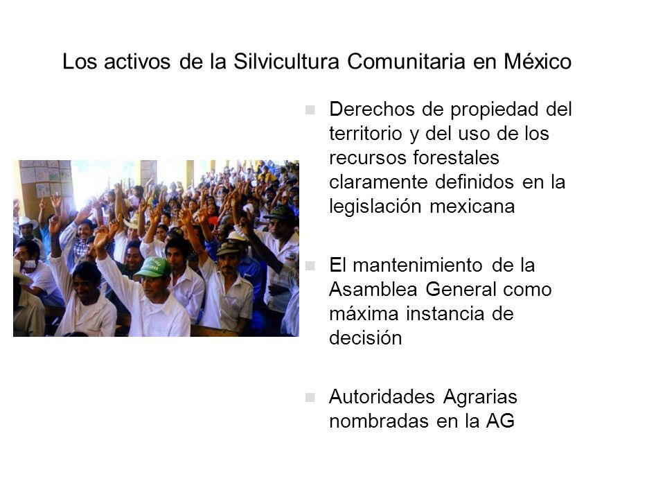 Los activos de la Silvicultura Comunitaria en México