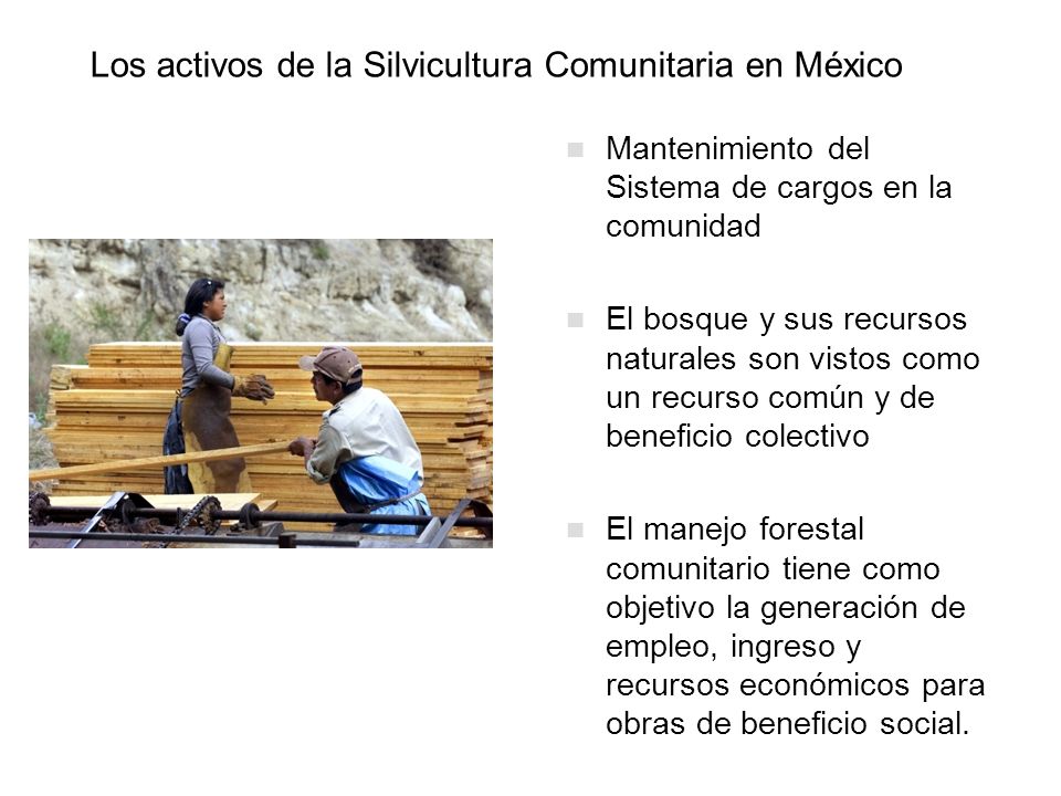 Los activos de la Silvicultura Comunitaria en México