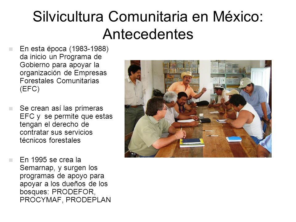 Silvicultura Comunitaria en México: Antecedentes