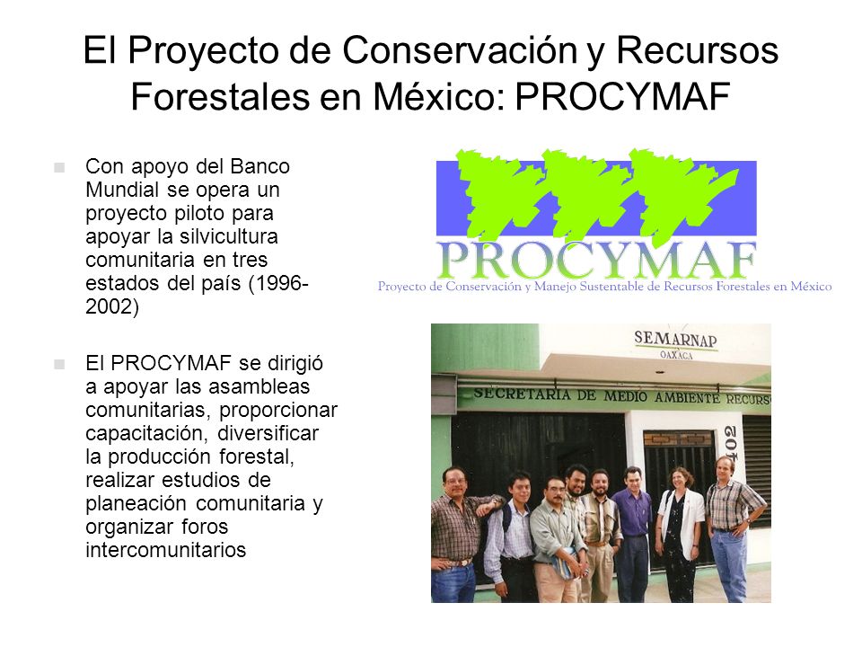 El Proyecto de Conservación y Recursos Forestales en México: PROCYMAF