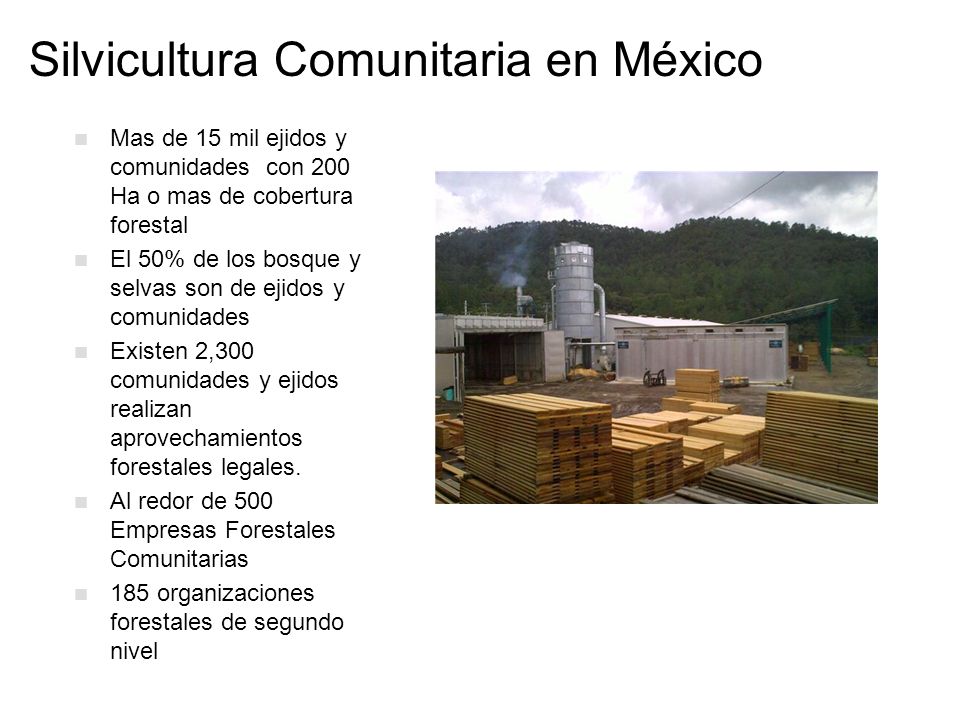 Silvicultura Comunitaria en México