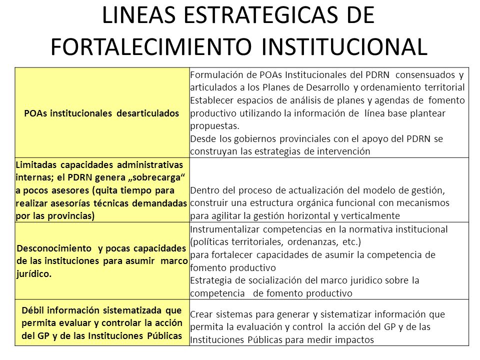 LINEAS ESTRATEGICAS DE FORTALECIMIENTO INSTITUCIONAL