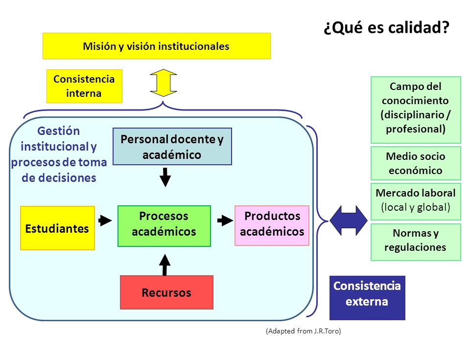 ¿Qué es calidad Misión y visión institucionales. Consistencia interna. Campo del conocimiento (disciplinario / profesional)