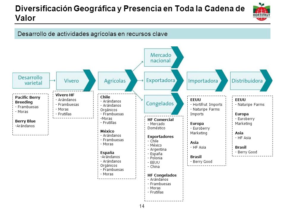 Diversificación Geográfica y Presencia en Toda la Cadena de Valor