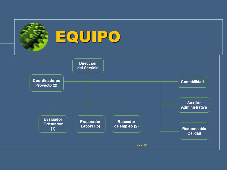 EQUIPO Dirección del Servicio Coordinadores Proyecto (2) Contabilidad