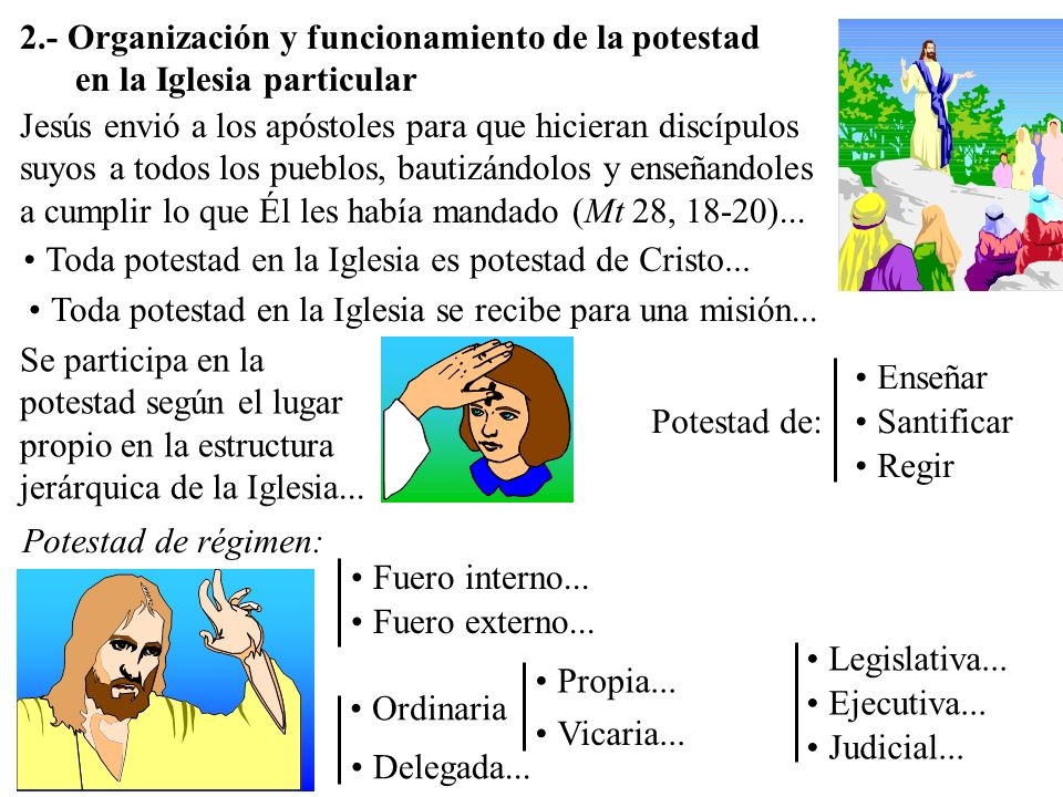 2.- Organización y funcionamiento de la potestad en la Iglesia particular