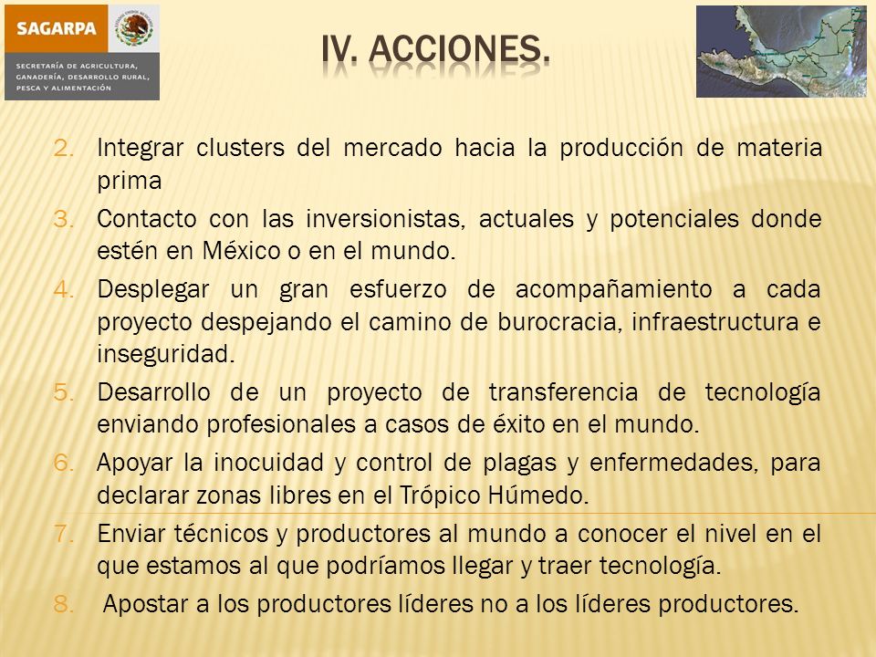 iV. Acciones. Integrar clusters del mercado hacia la producción de materia prima.