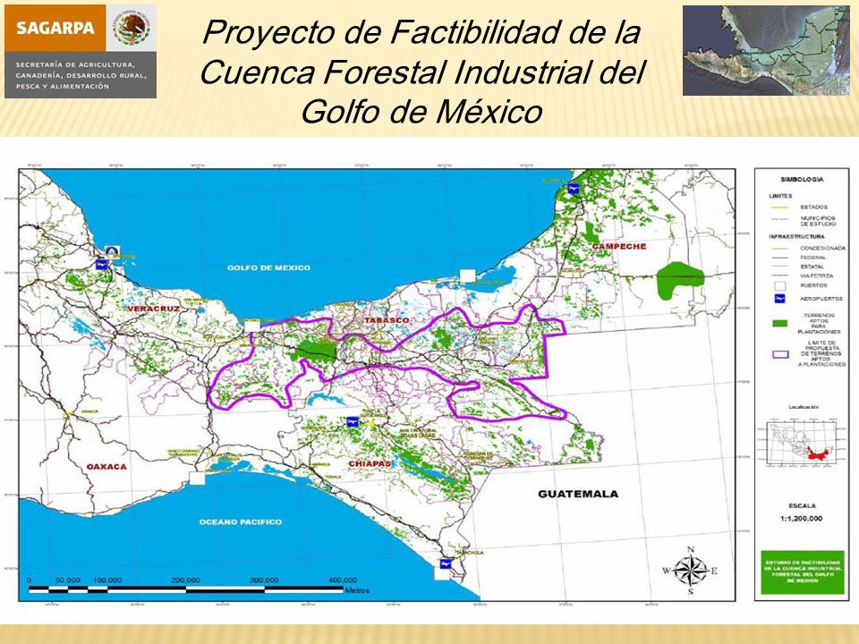 Proyecto de Factibilidad de la Cuenca Forestal Industrial del Golfo de México