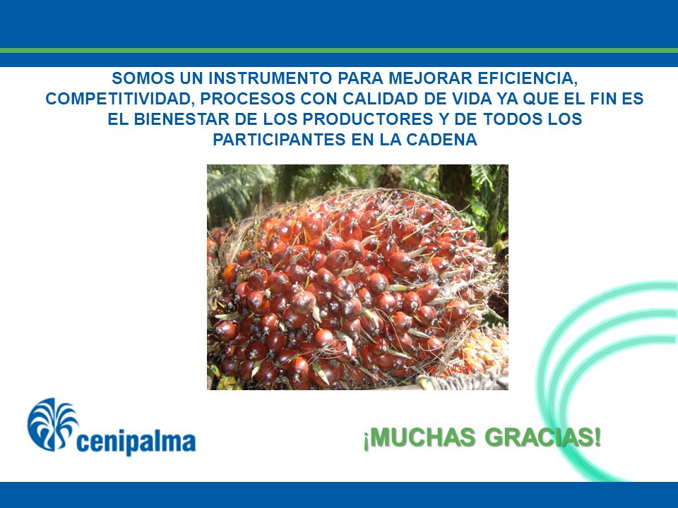 SOMOS UN INSTRUMENTO PARA MEJORAR EFICIENCIA, COMPETITIVIDAD, PROCESOS CON CALIDAD DE VIDA YA QUE EL FIN ES EL BIENESTAR DE LOS PRODUCTORES Y DE TODOS LOS PARTICIPANTES EN LA CADENA